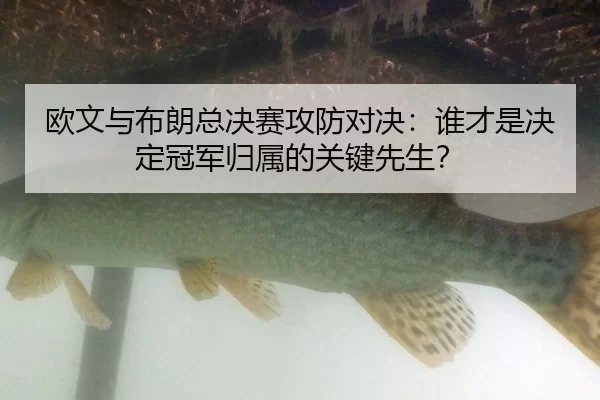 欧文与布朗总决赛攻防对决：谁才是决定冠军归属的关键先生？